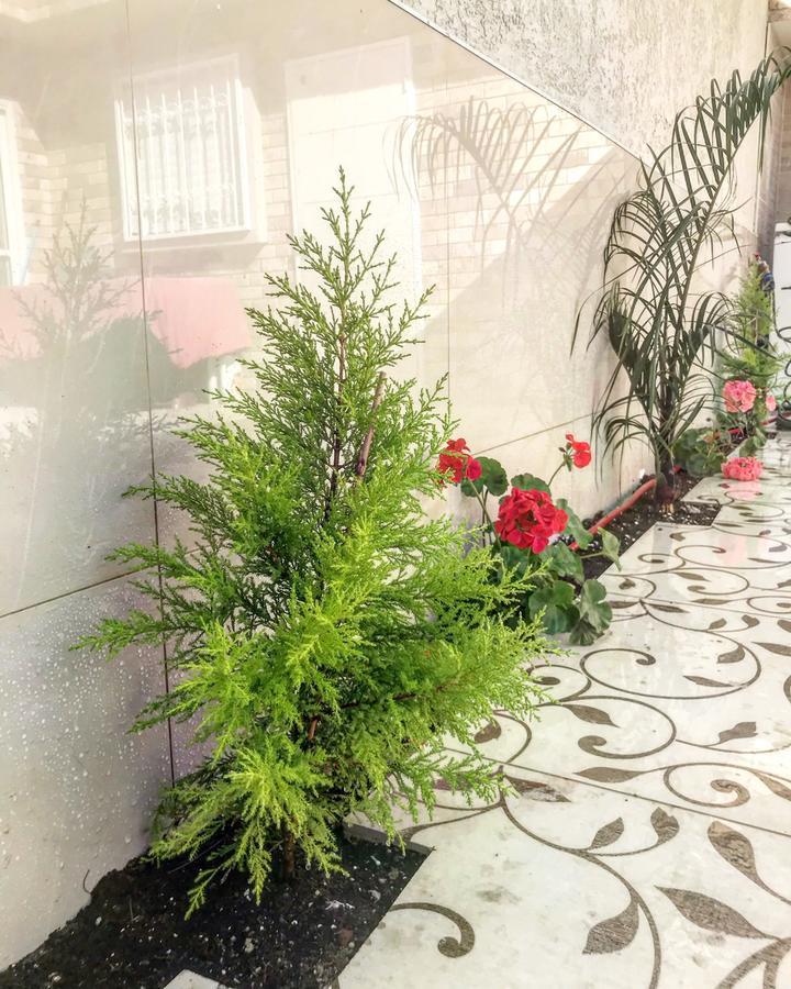 Shahal Apartments Beersheba エクステリア 写真