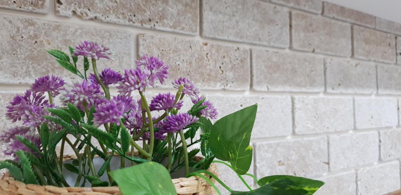 Shahal Apartments Beersheba エクステリア 写真