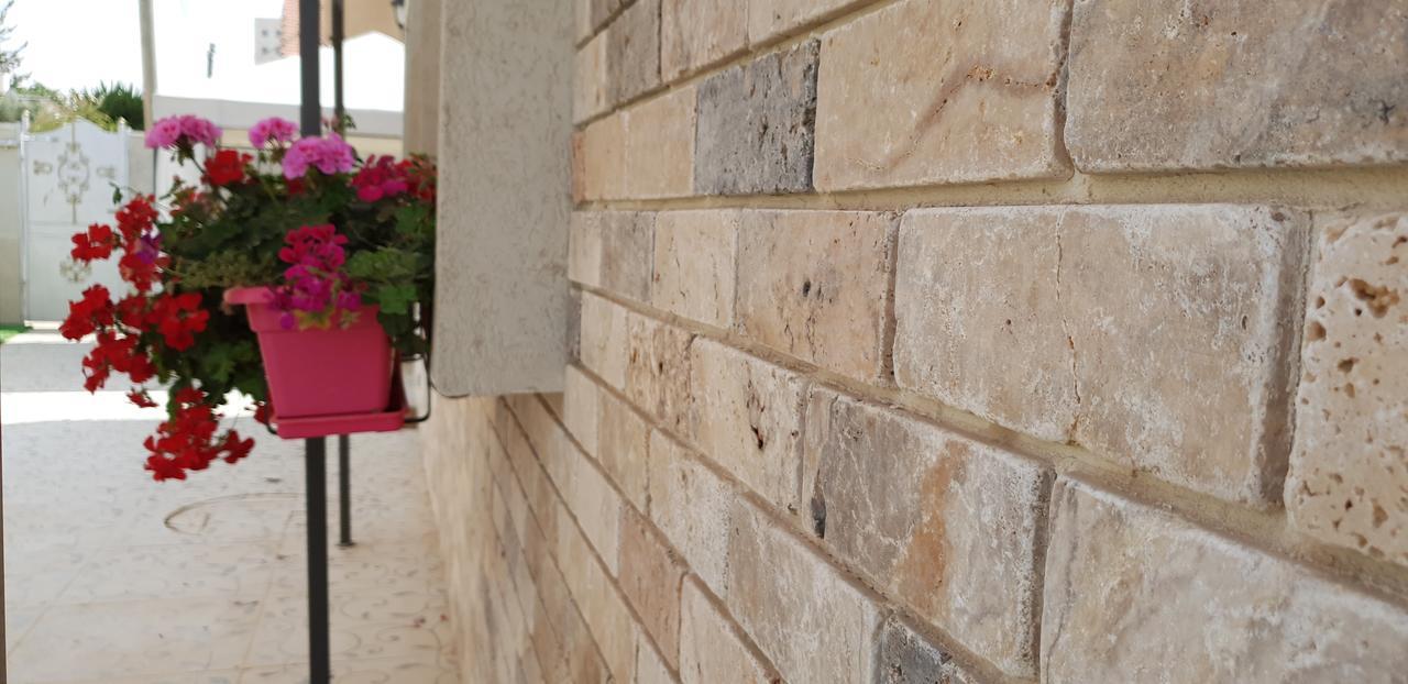 Shahal Apartments Beersheba エクステリア 写真